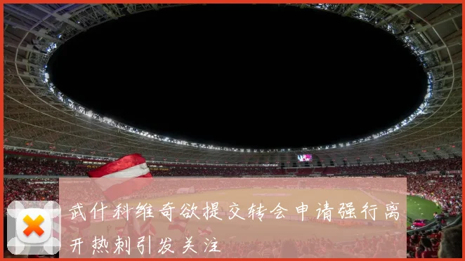 武什科维奇欲提交转会申请强行离开热刺引发关注