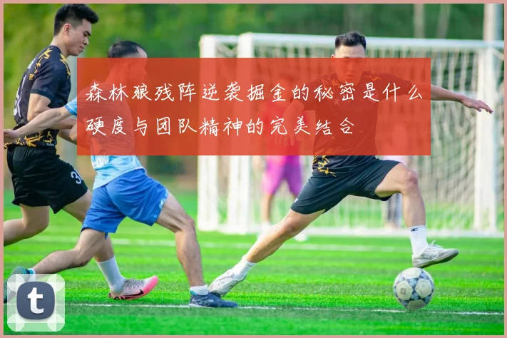 森林狼残阵逆袭掘金的秘密是什么硬度与团队精神的完美结合