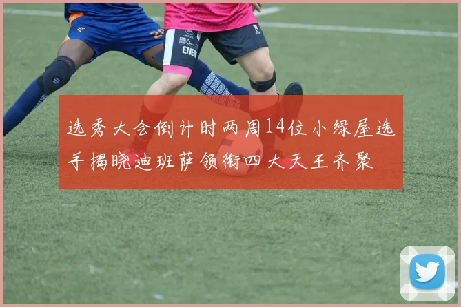 选秀大会倒计时两周14位小绿屋选手揭晓迪班萨领衔四大天王齐聚